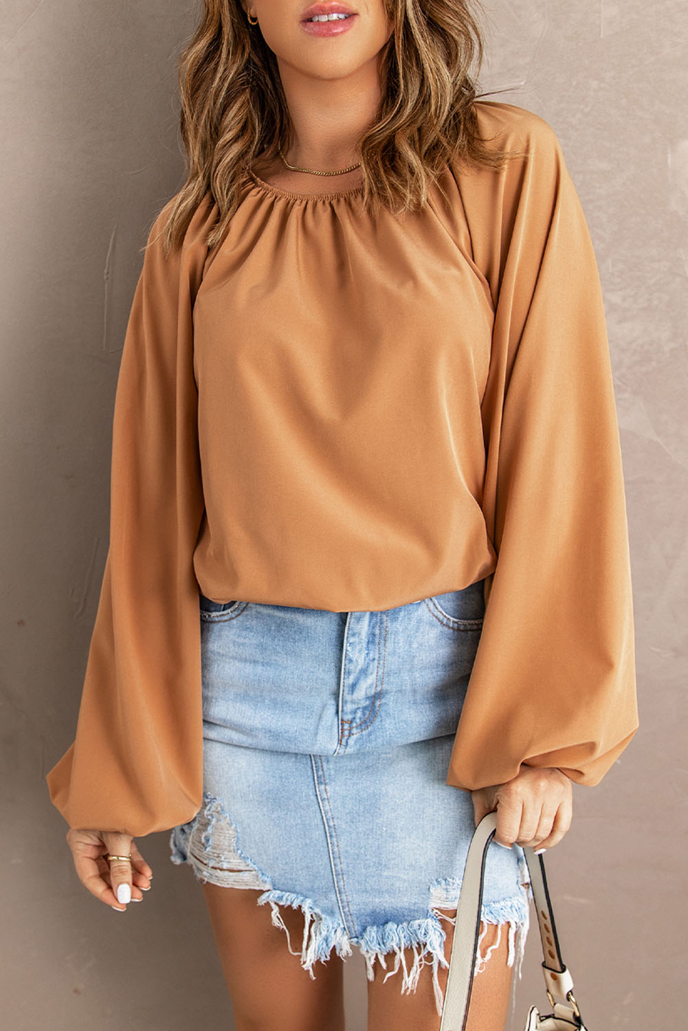 Lantern Sleeve Loose Blouse