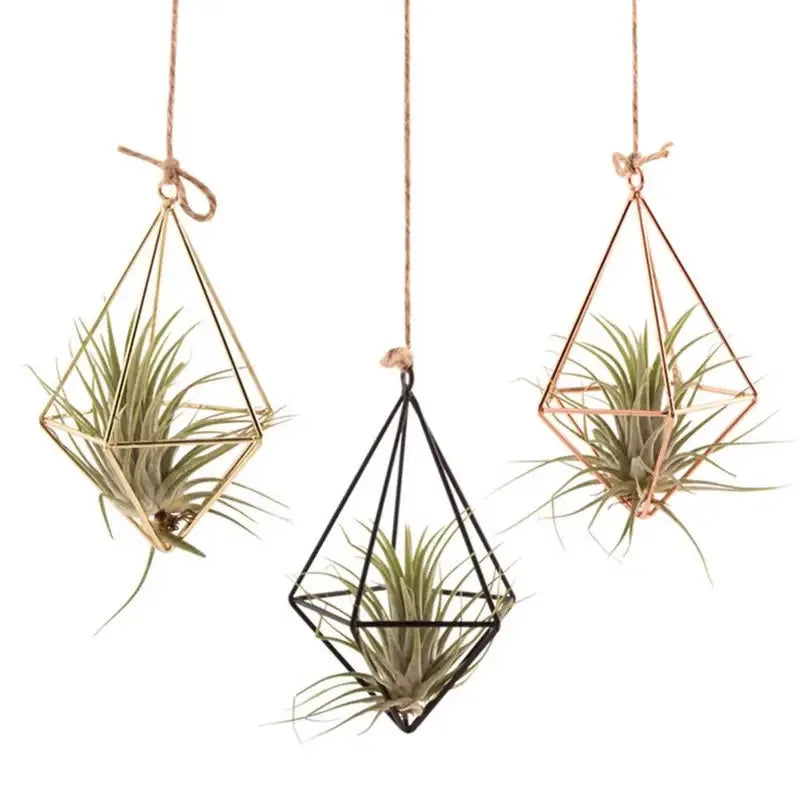 Wall-Mounted Modern Macrame Flower Hanger - Air Plant Stand, Ideal for Indoor, Garden & Courtyard Decoration