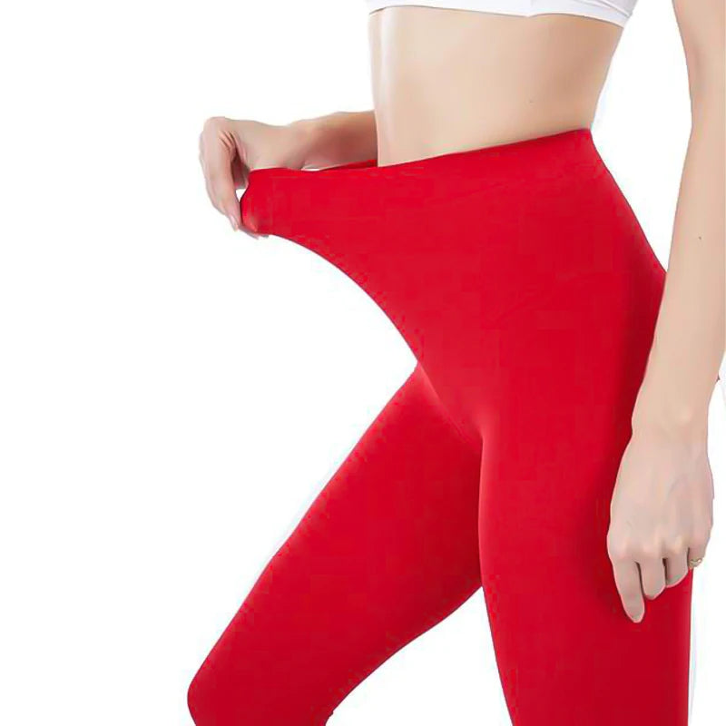 Plus Size Women's Long Stockings