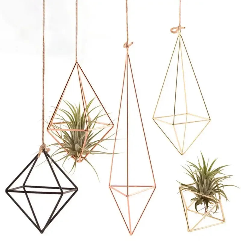 Wall-Mounted Modern Macrame Flower Hanger - Air Plant Stand, Ideal for Indoor, Garden & Courtyard Decoration