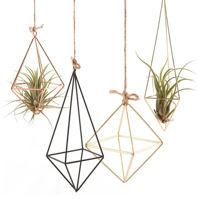 Wall-Mounted Modern Macrame Flower Hanger - Air Plant Stand, Ideal for Indoor, Garden & Courtyard Decoration